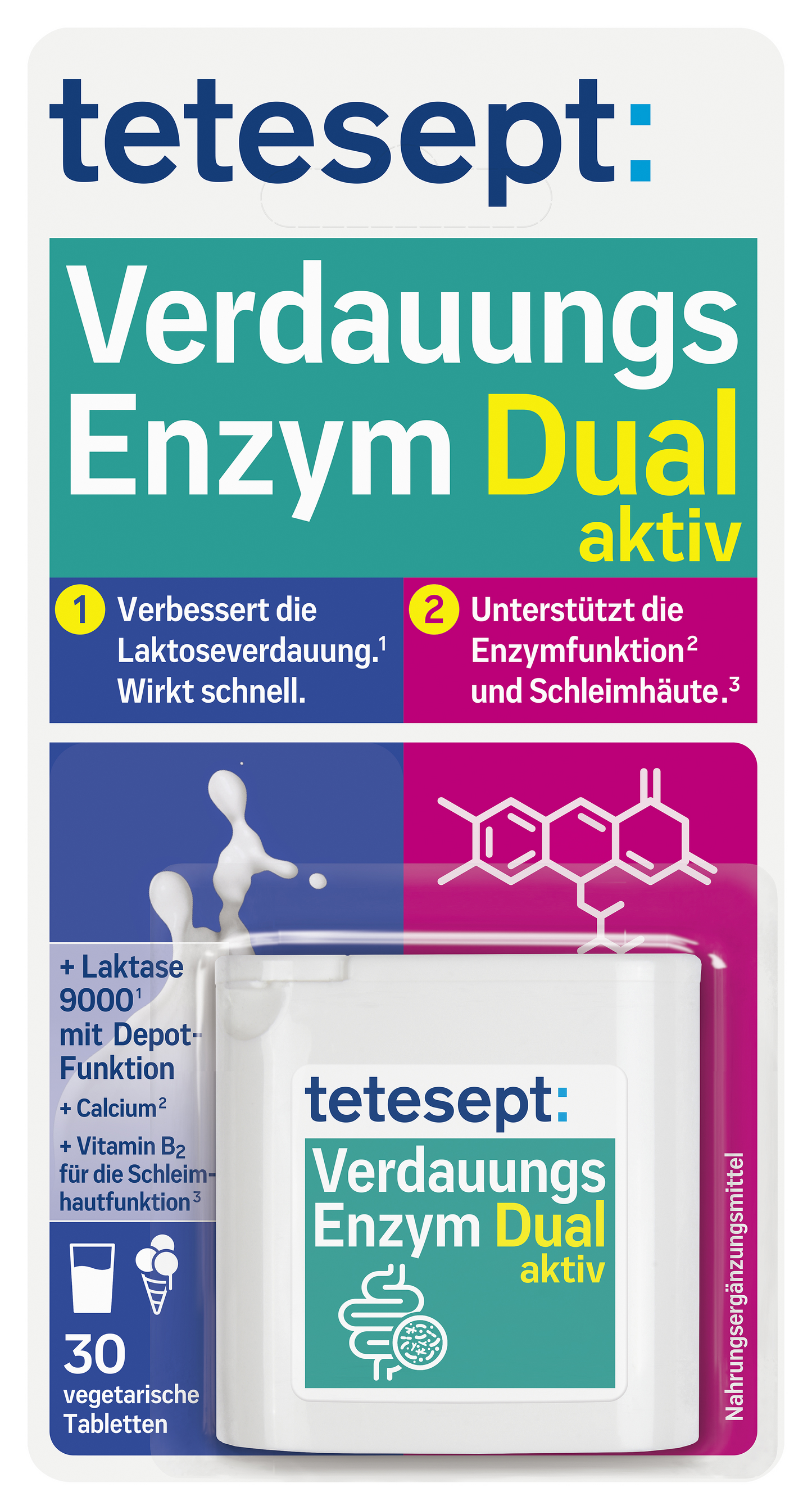 Verdauung Enzym Dual aktiv