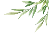Blätter Icon